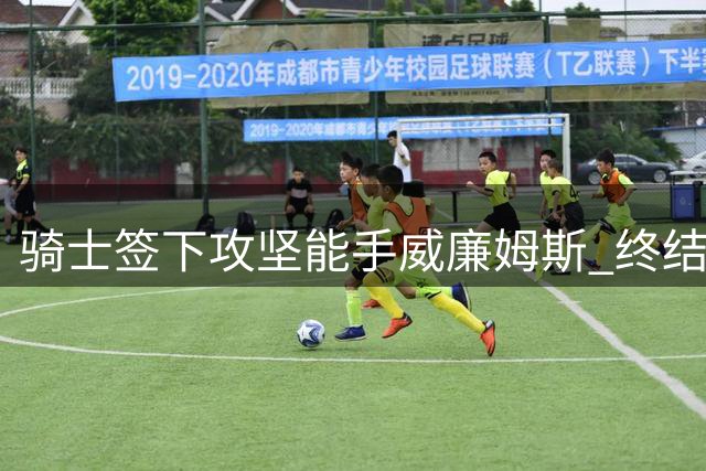骑士签下攻坚能手威廉姆斯 终结能力可比欧文